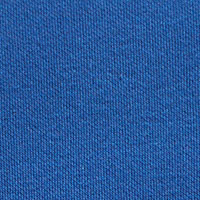 Springfield Herren-Sweatshirt - Champion Legacy Collection azulado