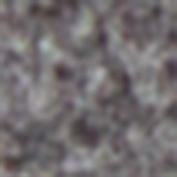 Springfield Chaqueta softshell gris oscuro