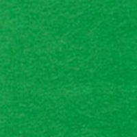 Springfield Langarm-Sweatshirt green
