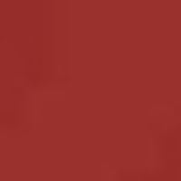 Springfield Logo hooded sweatshirt piros