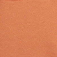 Springfield Sudadera capucha logo marrón medio