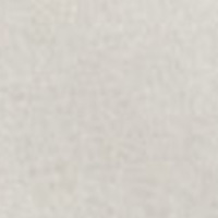 Springfield T-shirt logo cru