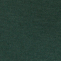 Springfield T-shirt manches longues basique vert