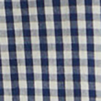 Springfield Camisa cuadro vichy azul medio